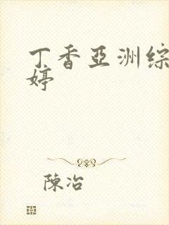 丁香亚洲综合婷婷