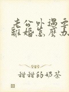 老公外遇要和我离婚怎么办封面