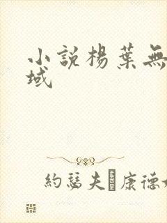 小说杨叶无敌剑域封面