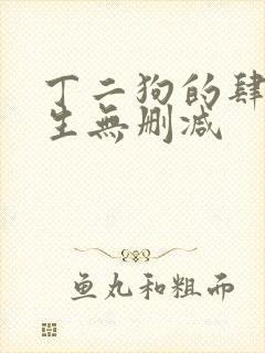 丁二狗的肆意人生无删减