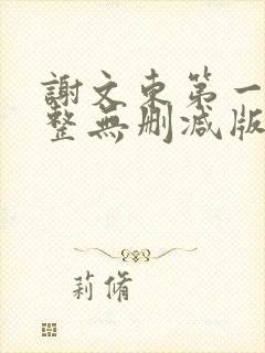 谢文东第一季完整无删减版