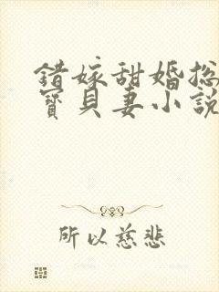 错嫁甜婚总裁的宝贝妻小说完整版