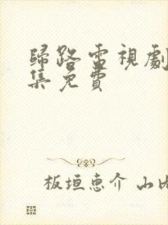 归路电视剧40集免费