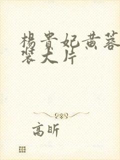 杨贵妃黄蓉版古装大片