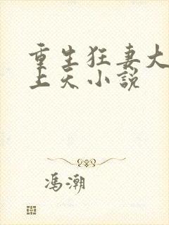 重生狂妻大佬宠上天小说