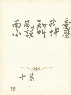 南风知我意原著小说叫什么