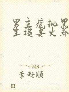 男主疯批黑化重生追妻火葬场