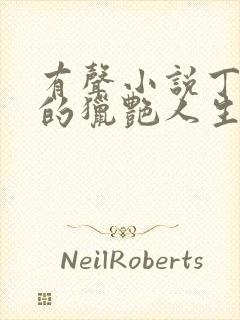 有声小说丁二狗的猎艳人生