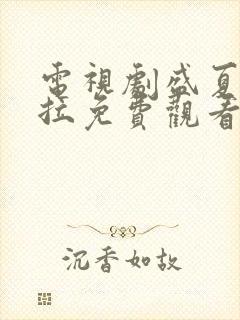 电视剧盛夏芬德拉免费观看全集高清