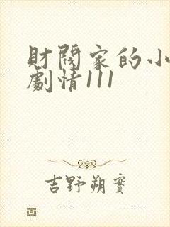 财阀家的小儿子剧情111