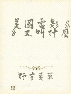 美国电影《偷偷》又叫什么电影