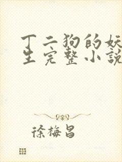 丁二狗的妖孽人生完整小说txt