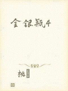 金银瓶4封面