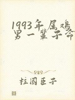 1993年属鸡男一辈子命运