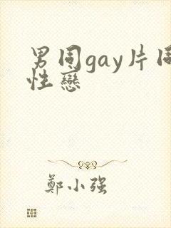 男同gay片同性恋