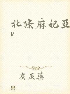 北条麻妃亚洲av