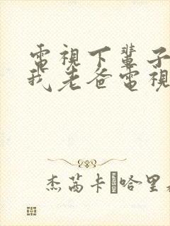 电视下辈子还做我老爸电视剧封面