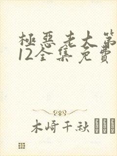 极恶老大第二季12全集免费播放