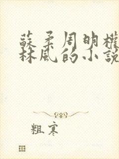 苏柔周明权赵刚林风的小说在线阅读全文小说