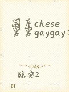 国产chese男男gaygay视频网站