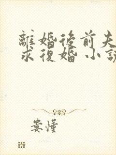 离婚后前夫哭着求复婚 小说