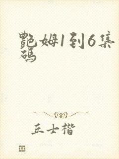 艳姆1到6集转码封面