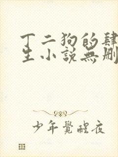 丁二狗的肆意人生小说无删减全文阅读
