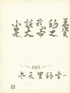 小说我的弟子全是大帝之资全集