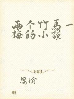 两个竹马一个青梅的小说