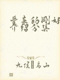 爱来的刚好剧情介绍分集