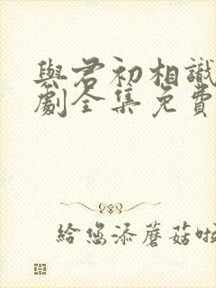 与君初相识电视剧全集免费播放