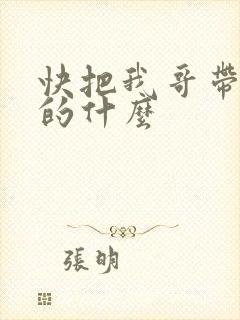 快把我哥带走讲的什么