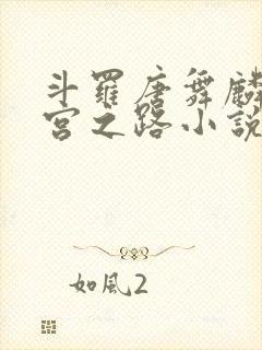 斗罗唐舞麟的后宫之路小说