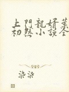上门龙婿叶辰萧初然小说全集