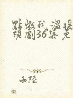 点燃我温暖你电视剧36集免费观看