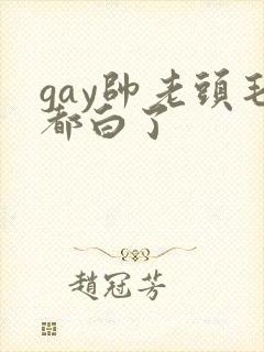 gay帅老头毛都白了