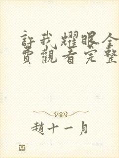 许我耀眼全集免费观看完整版高清