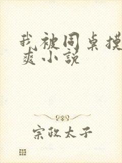 我被同桌摸的好爽小说