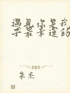 遇见你是我这辈子最幸运的事情