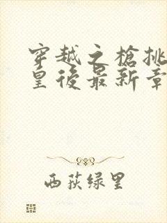 穿越之枪挑长孙皇后最新章节封面