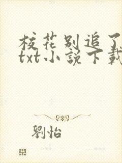 校花别追了高冷txt小说下载