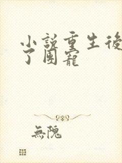 小说重生后我成了团宠