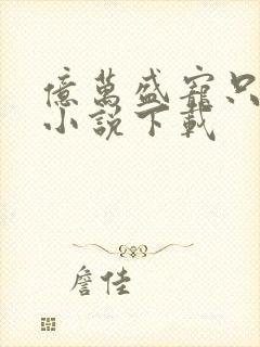 亿万盛宠只为你小说下载