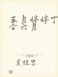 五月婷婷丁香综合六月