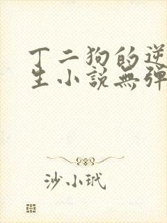 丁二狗的逆袭人生小说无弹窗