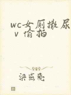 wc女厕撒尿七ⅴ偷拍