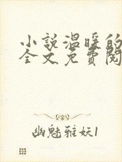 小说温暖的时光全文免费阅读