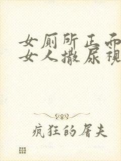 女厕所正面偷拍女人撒尿视频封面