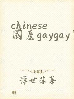 chinese国产gaygay男男网站
