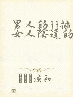 男人的jj插入女人阴道的视频